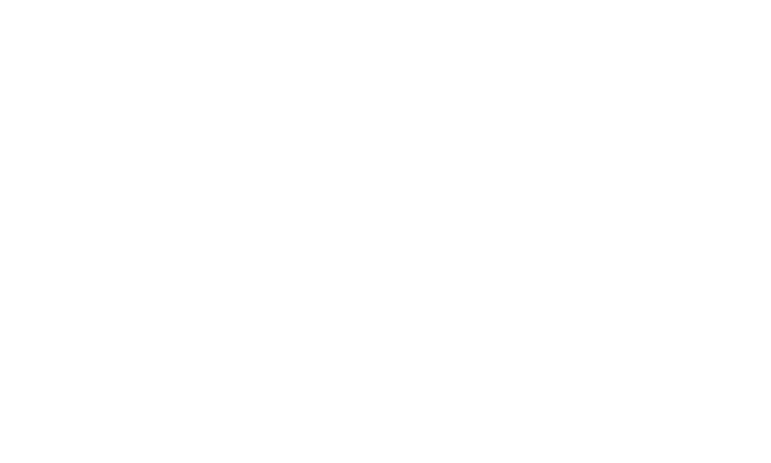Logo DJI